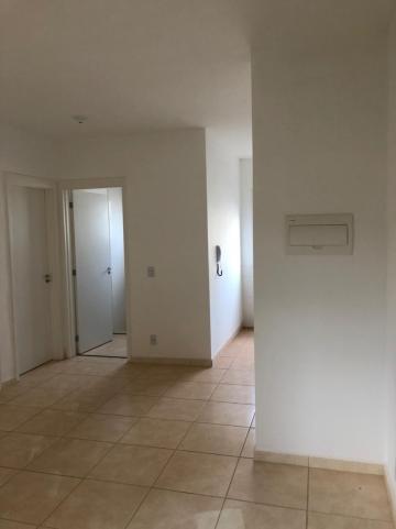Apartamentos / Padrão em Sertãozinho Apartamentos / Padrão em Sertãozinho