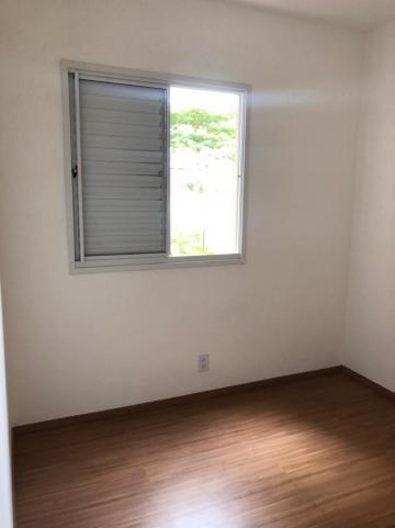 Alugar Apartamentos / Padrão em Sertãozinho R$ 750,00 - Foto 8 Alugar Apartamentos / Padrão em Sertãozinho R$ 750,00 - Foto 8