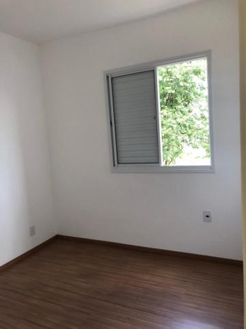 Alugar Apartamentos / Padrão em Sertãozinho R$ 750,00 - Foto 12 Alugar Apartamentos / Padrão em Sertãozinho R$ 750,00 - Foto 12