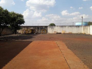 Alugar Comerciais / Barracão em Sertãozinho R$ 15.000,00 - Foto 15 Alugar Comerciais / Barracão em Sertãozinho R$ 15.000,00 - Foto 15