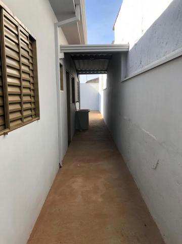 Alugar Casas / Padrão em Sertãozinho R$ 750,00 - Foto 14 Alugar Casas / Padrão em Sertãozinho R$ 750,00 - Foto 14