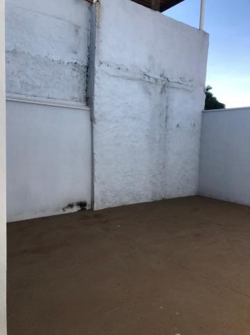 Alugar Casas / Padrão em Sertãozinho R$ 750,00 - Foto 17 Alugar Casas / Padrão em Sertãozinho R$ 750,00 - Foto 17