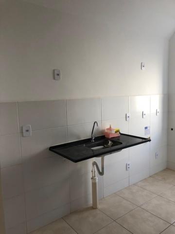 Alugar Apartamentos / Padrão em Sertãozinho R$ 600,00 - Foto 4 Alugar Apartamentos / Padrão em Sertãozinho R$ 600,00 - Foto 4