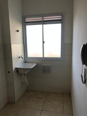 Alugar Apartamentos / Padrão em Sertãozinho R$ 600,00 - Foto 7 Alugar Apartamentos / Padrão em Sertãozinho R$ 600,00 - Foto 7