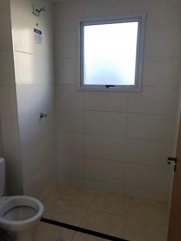 Alugar Apartamentos / Padrão em Sertãozinho R$ 600,00 - Foto 11 Alugar Apartamentos / Padrão em Sertãozinho R$ 600,00 - Foto 11