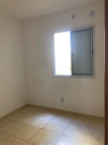 Alugar Apartamentos / Padrão em Sertãozinho R$ 600,00 - Foto 9 Alugar Apartamentos / Padrão em Sertãozinho R$ 600,00 - Foto 9