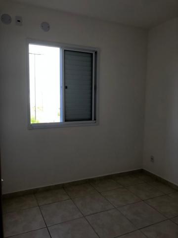 Alugar Apartamentos / Padrão em Sertãozinho R$ 600,00 - Foto 12 Alugar Apartamentos / Padrão em Sertãozinho R$ 600,00 - Foto 12