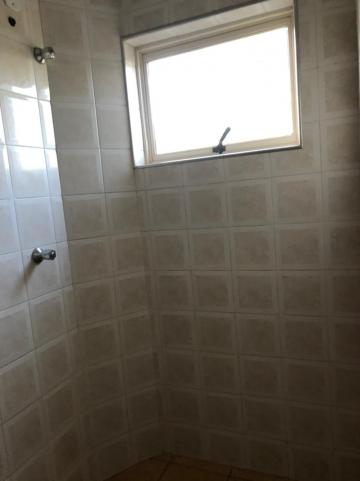 Alugar Apartamentos / Padrão em Sertãozinho R$ 900,00 - Foto 15 Alugar Apartamentos / Padrão em Sertãozinho R$ 900,00 - Foto 15