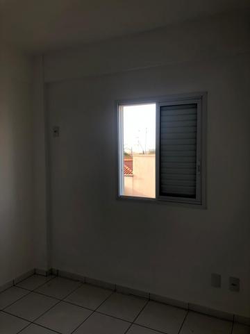 Alugar Apartamentos / Padrão em Sertãozinho R$ 850,00 - Foto 10 Alugar Apartamentos / Padrão em Sertãozinho R$ 850,00 - Foto 10