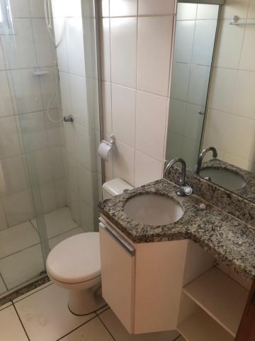 Alugar Apartamentos / Padrão em Sertãozinho R$ 850,00 - Foto 16 Alugar Apartamentos / Padrão em Sertãozinho R$ 850,00 - Foto 16