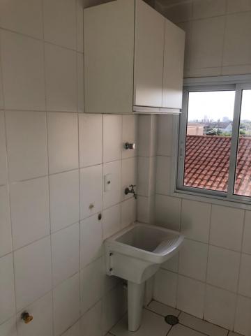Alugar Apartamentos / Padrão em Sertãozinho R$ 850,00 - Foto 19 Alugar Apartamentos / Padrão em Sertãozinho R$ 850,00 - Foto 19