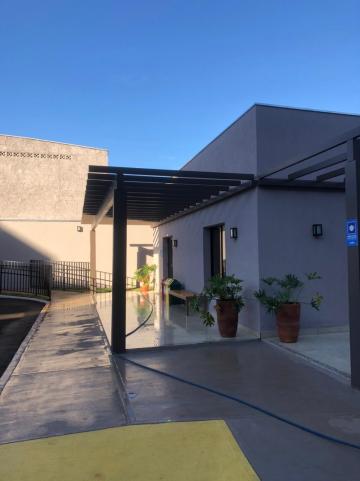 Alugar Apartamentos / Padrão em Sertãozinho R$ 850,00 - Foto 4 Alugar Apartamentos / Padrão em Sertãozinho R$ 850,00 - Foto 4