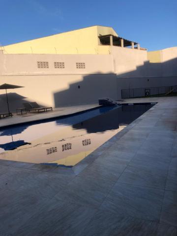 Alugar Apartamentos / Padrão em Sertãozinho R$ 850,00 - Foto 11 Alugar Apartamentos / Padrão em Sertãozinho R$ 850,00 - Foto 11