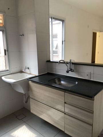 Alugar Apartamentos / Padrão em Sertãozinho R$ 700,00 - Foto 4 Alugar Apartamentos / Padrão em Sertãozinho R$ 700,00 - Foto 4