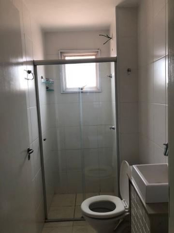 Alugar Apartamentos / Padrão em Sertãozinho R$ 700,00 - Foto 8 Alugar Apartamentos / Padrão em Sertãozinho R$ 700,00 - Foto 8