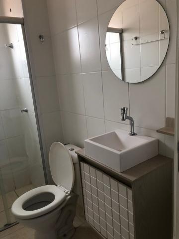 Alugar Apartamentos / Padrão em Sertãozinho R$ 700,00 - Foto 11 Alugar Apartamentos / Padrão em Sertãozinho R$ 700,00 - Foto 11