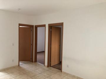 Alugar Apartamentos / Padrão em Sertãozinho R$ 800,00 - Foto 3 Alugar Apartamentos / Padrão em Sertãozinho R$ 800,00 - Foto 3