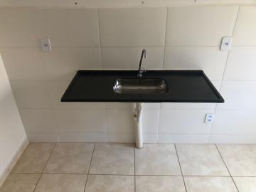 Alugar Apartamentos / Padrão em Sertãozinho R$ 800,00 - Foto 4 Alugar Apartamentos / Padrão em Sertãozinho R$ 800,00 - Foto 4