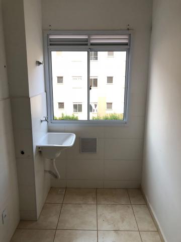 Alugar Apartamentos / Padrão em Sertãozinho R$ 800,00 - Foto 5 Alugar Apartamentos / Padrão em Sertãozinho R$ 800,00 - Foto 5