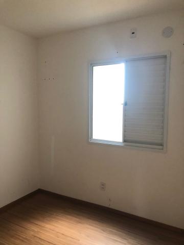Alugar Apartamentos / Padrão em Sertãozinho R$ 800,00 - Foto 7 Alugar Apartamentos / Padrão em Sertãozinho R$ 800,00 - Foto 7