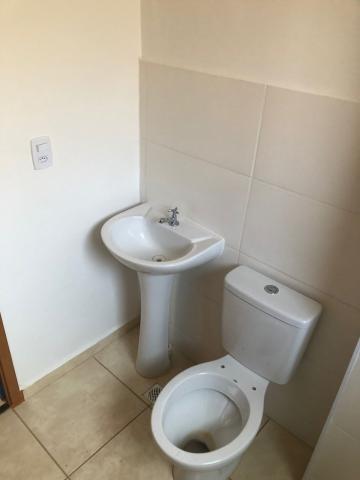 Alugar Apartamentos / Padrão em Sertãozinho R$ 800,00 - Foto 12 Alugar Apartamentos / Padrão em Sertãozinho R$ 800,00 - Foto 12
