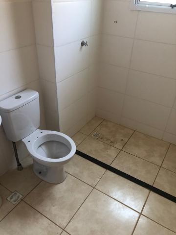 Alugar Apartamentos / Padrão em Sertãozinho R$ 800,00 - Foto 13 Alugar Apartamentos / Padrão em Sertãozinho R$ 800,00 - Foto 13