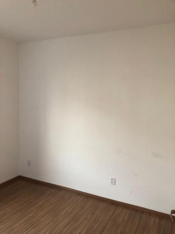 Alugar Apartamentos / Padrão em Sertãozinho R$ 800,00 - Foto 14 Alugar Apartamentos / Padrão em Sertãozinho R$ 800,00 - Foto 14