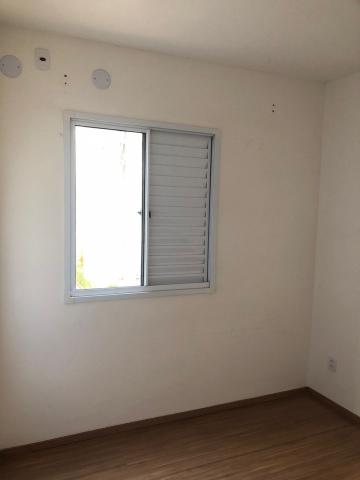 Alugar Apartamentos / Padrão em Sertãozinho R$ 800,00 - Foto 15 Alugar Apartamentos / Padrão em Sertãozinho R$ 800,00 - Foto 15