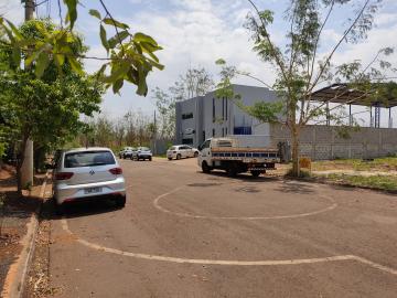 Comprar Terrenos / Industriais em Sertãozinho R$ 260.000,00 - Foto 3 Comprar Terrenos / Industriais em Sertãozinho R$ 260.000,00 - Foto 3