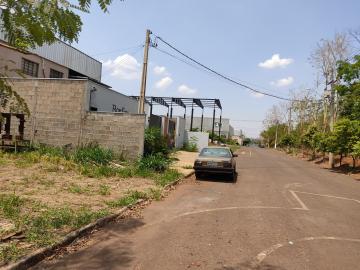 Comprar Terrenos / Industriais em Sertãozinho R$ 260.000,00 - Foto 4 Comprar Terrenos / Industriais em Sertãozinho R$ 260.000,00 - Foto 4