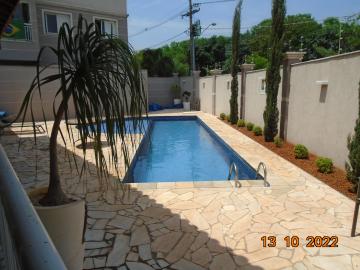 imagem 5 - Apartamentos - Padrão imagem 5 - Apartamentos - Padrão