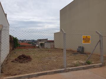 imagem 2 - Terrenos - Padrão imagem 2 - Terrenos - Padrão