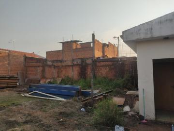 imagem 4 - Casas - Padrão imagem 4 - Casas - Padrão
