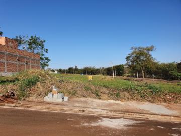 imagem 2 - Terrenos - Área imagem 2 - Terrenos - Área