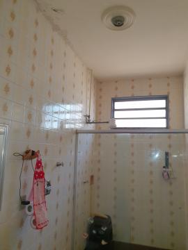 imagem 5 - Casas - Padrão imagem 5 - Casas - Padrão