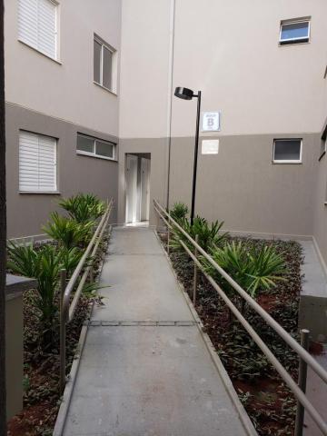 Alugar Apartamentos / Padrão em Sertãozinho. apenas R$ 157.000,00