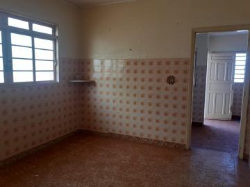 imagem 5 - Casas - Padrão imagem 5 - Casas - Padrão