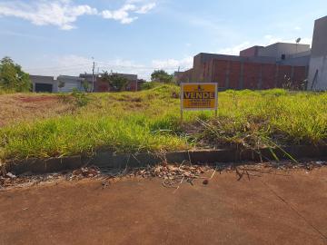 imagem 2 - Terrenos - Padrão imagem 2 - Terrenos - Padrão