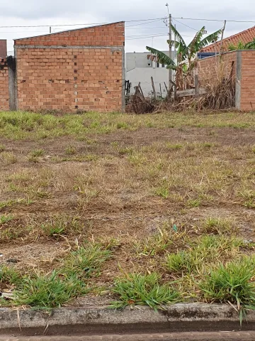 imagem 1 - Excelente lote imagem 1 - Excelente lote
