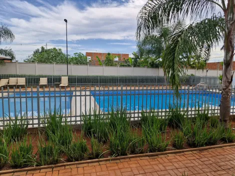 imagem 5 - Apartamento ideal e  pronto pra morar com portaria e excelente localização. imagem 5 - Apartamento ideal e  pronto pra morar com portaria e excelente localização.