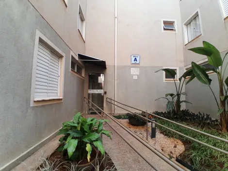 imagem 3 - Apartamentos - Padrão imagem 3 - Apartamentos - Padrão